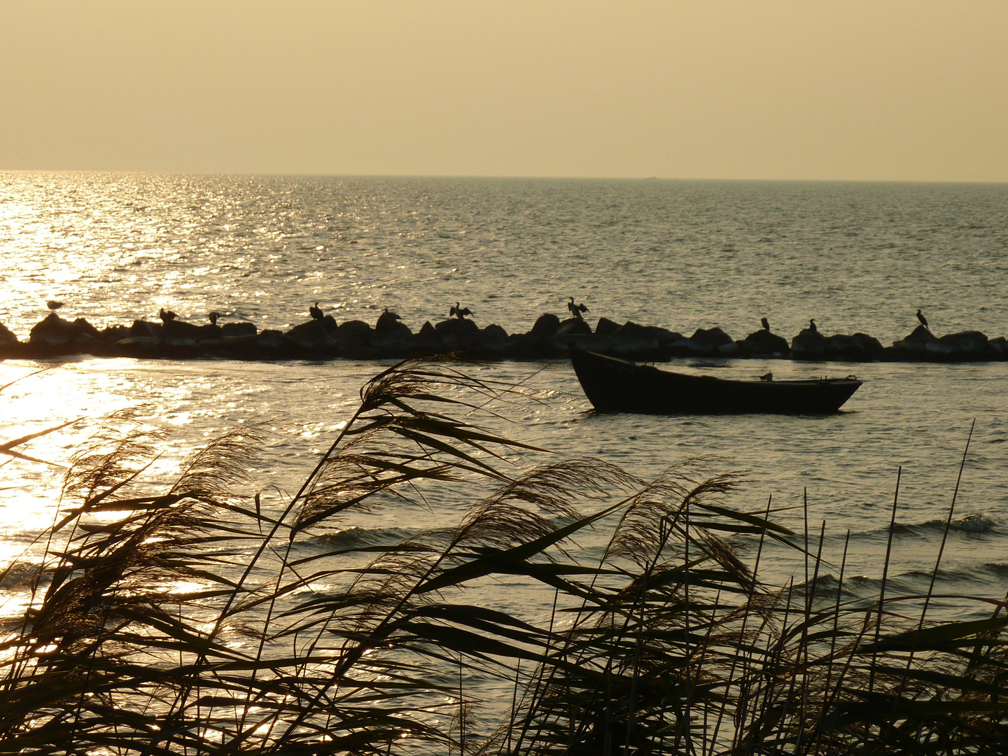 Rügen Fischerboot 3