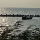 Rügen Fischerboot 4