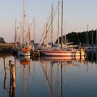 Rügen - Hafen Seedorf