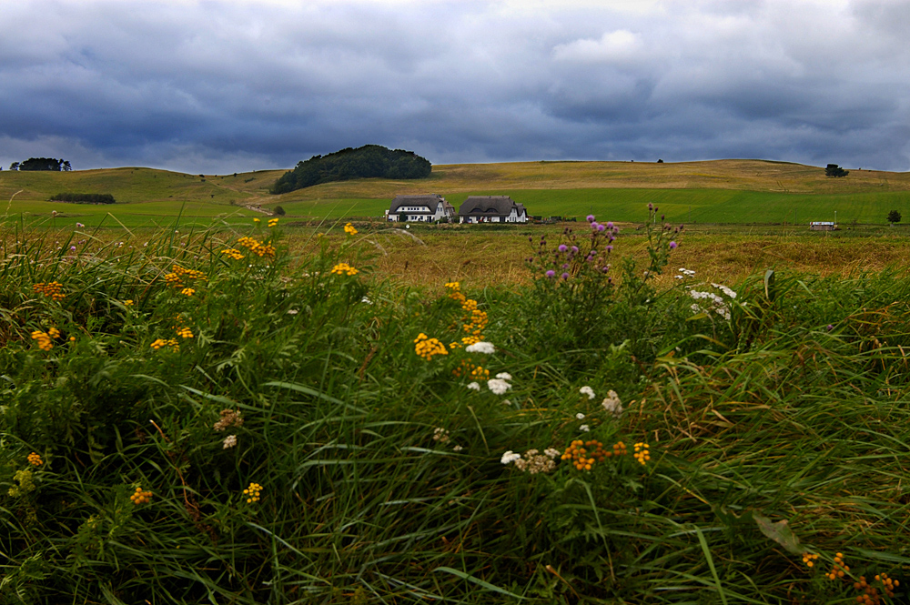 Rügen Halbinsel Mönchgut- Groß Zicker