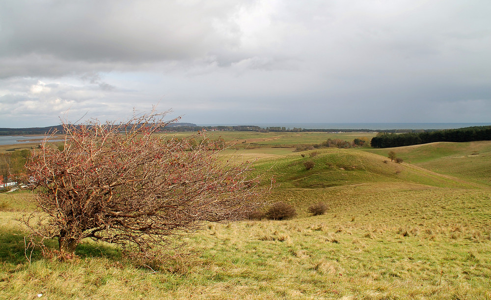 Rügen II