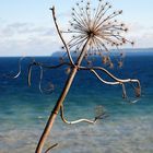 Rügen im Herbst 2007