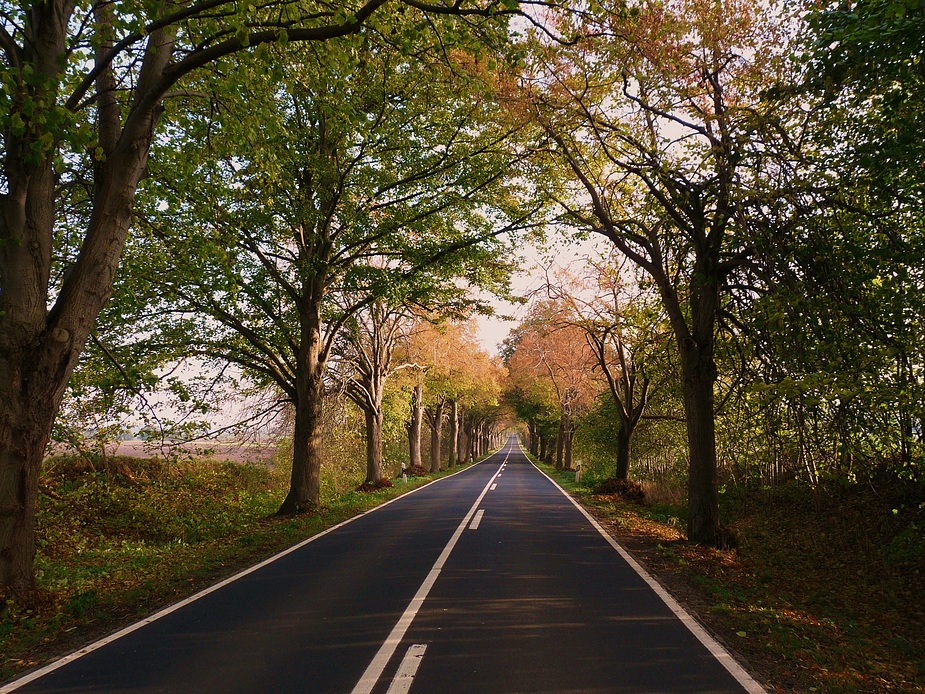 Rügen im Herbst