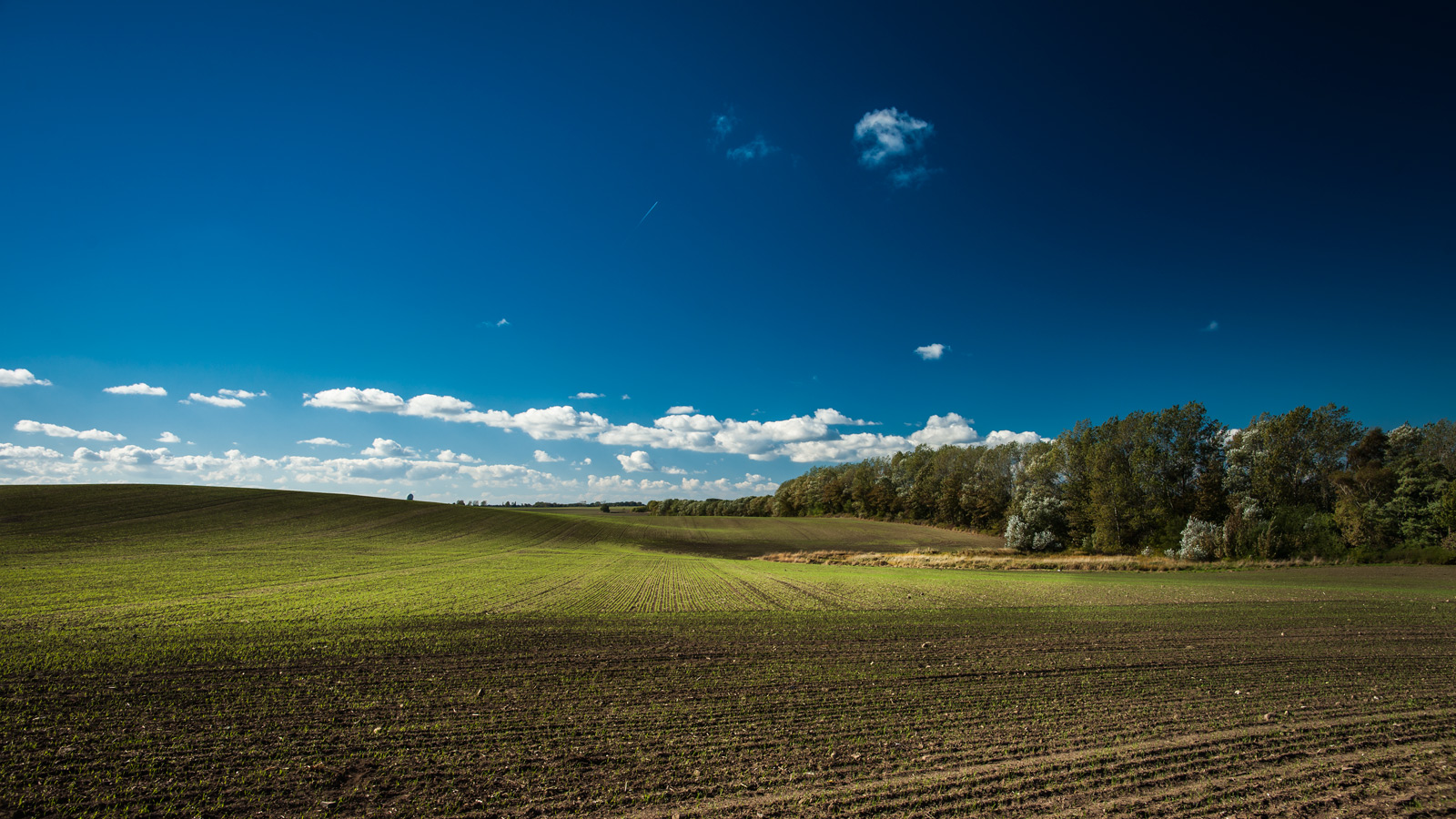 Rügen im Herbst ...