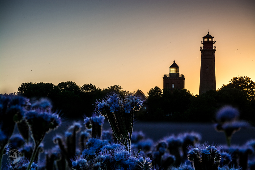 Rügen im LICHT