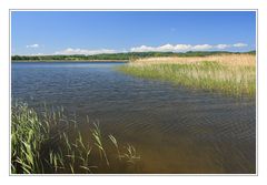 Rügen im Mai (2)....