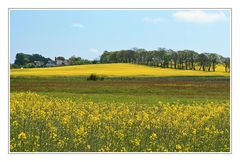 Rügen im Mai (9)....