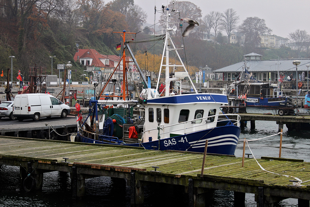 Rügen im Trüben