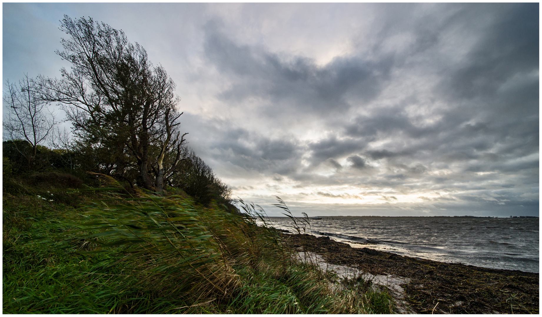 Rügen im Wind