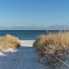 Rügen im Winter