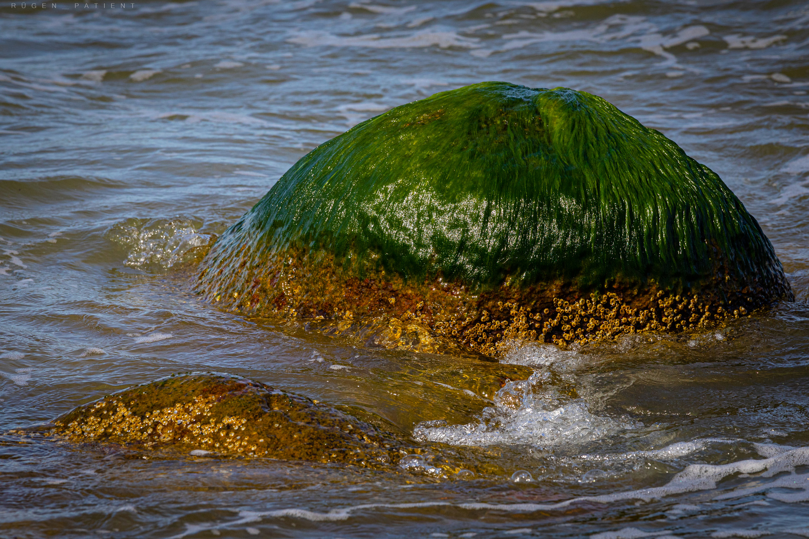 Rügen-Impressionen