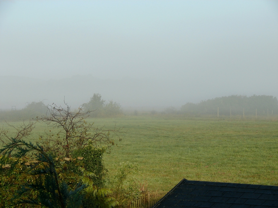 Rügen-Impressionen 7