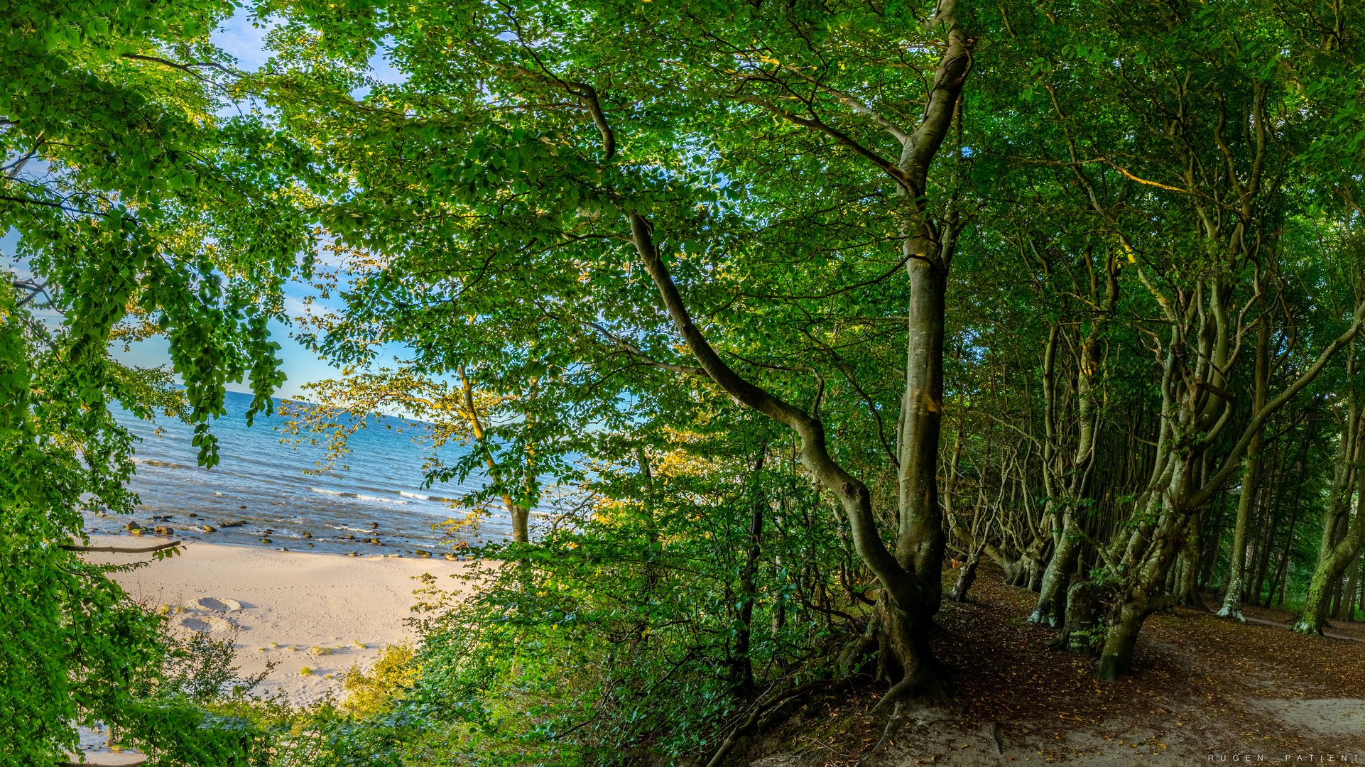 Rügen-Impressionen