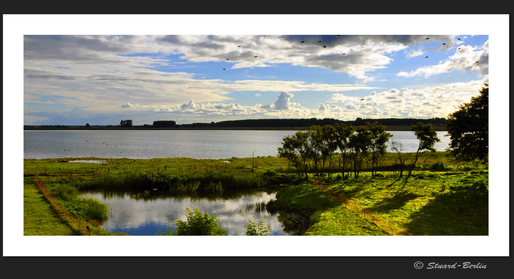 Rügen Impressionen II