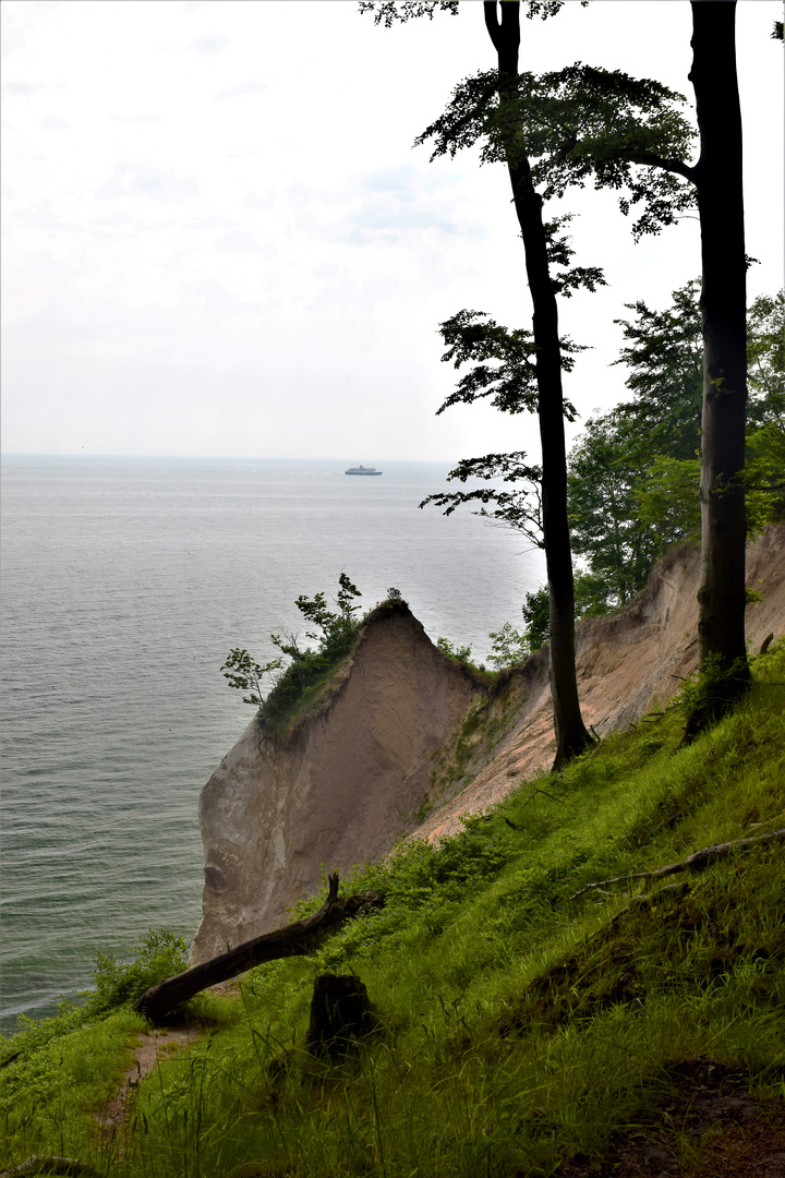 Rügen in Veränderung Foto & Bild | natur Bilder auf fotocommunity