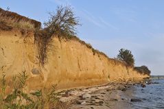 Rügen: Klein Zicker – Die Steilküste 02