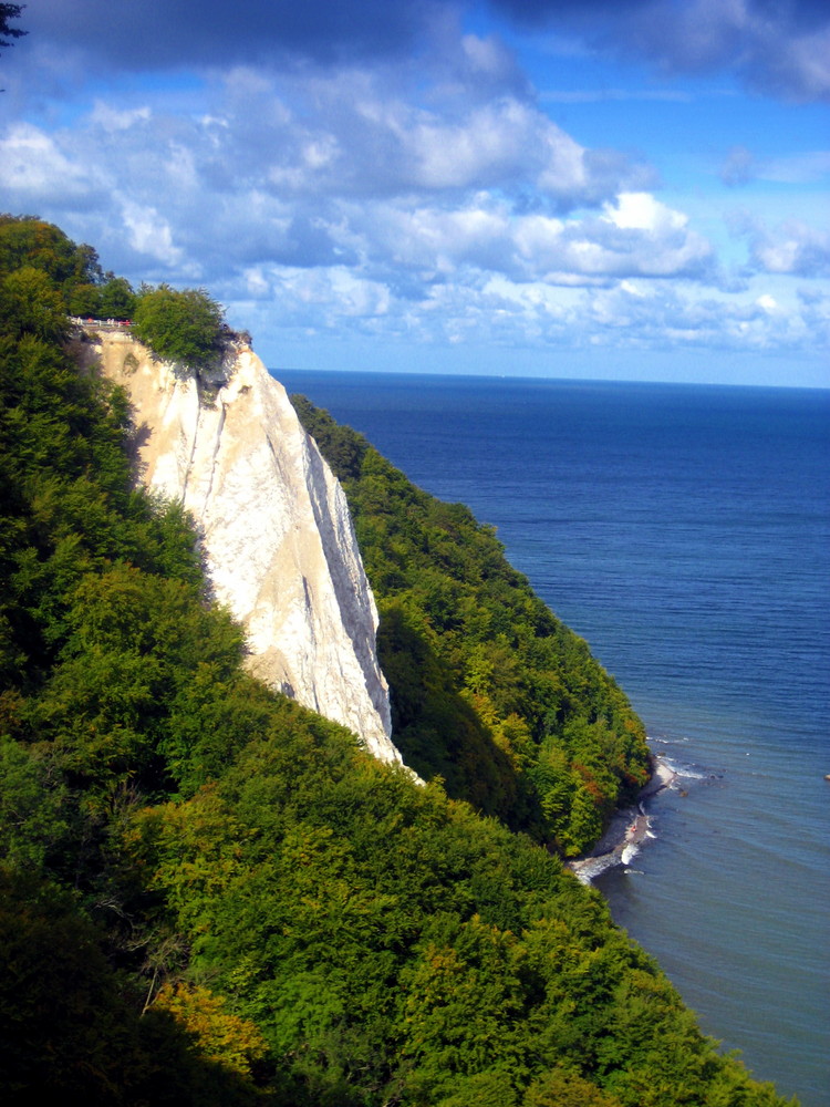 Rügen-Kreidefelsen