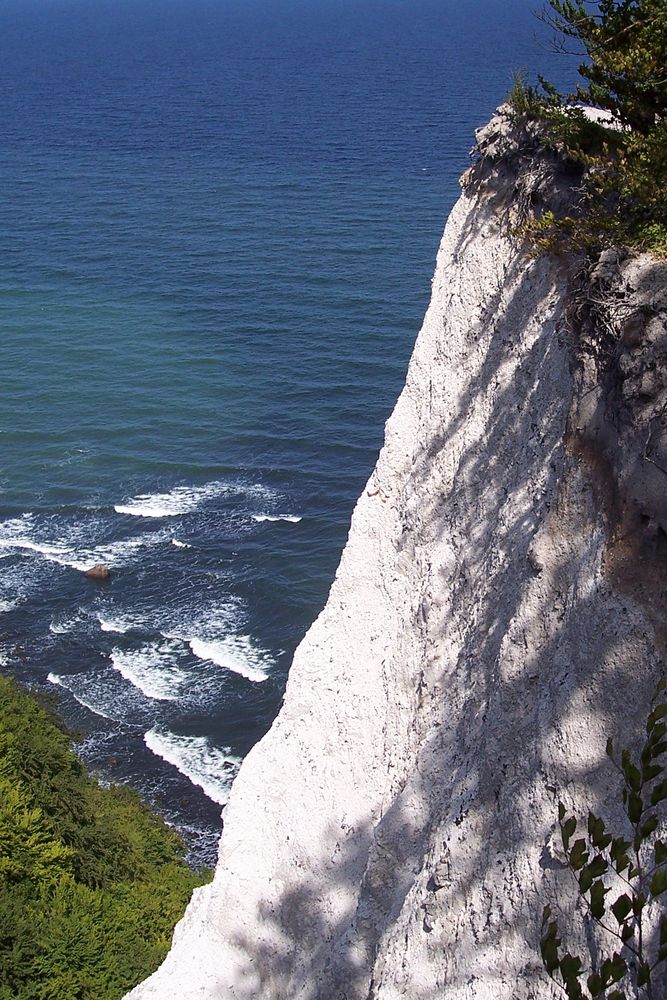 Rügen Kreidefelsen