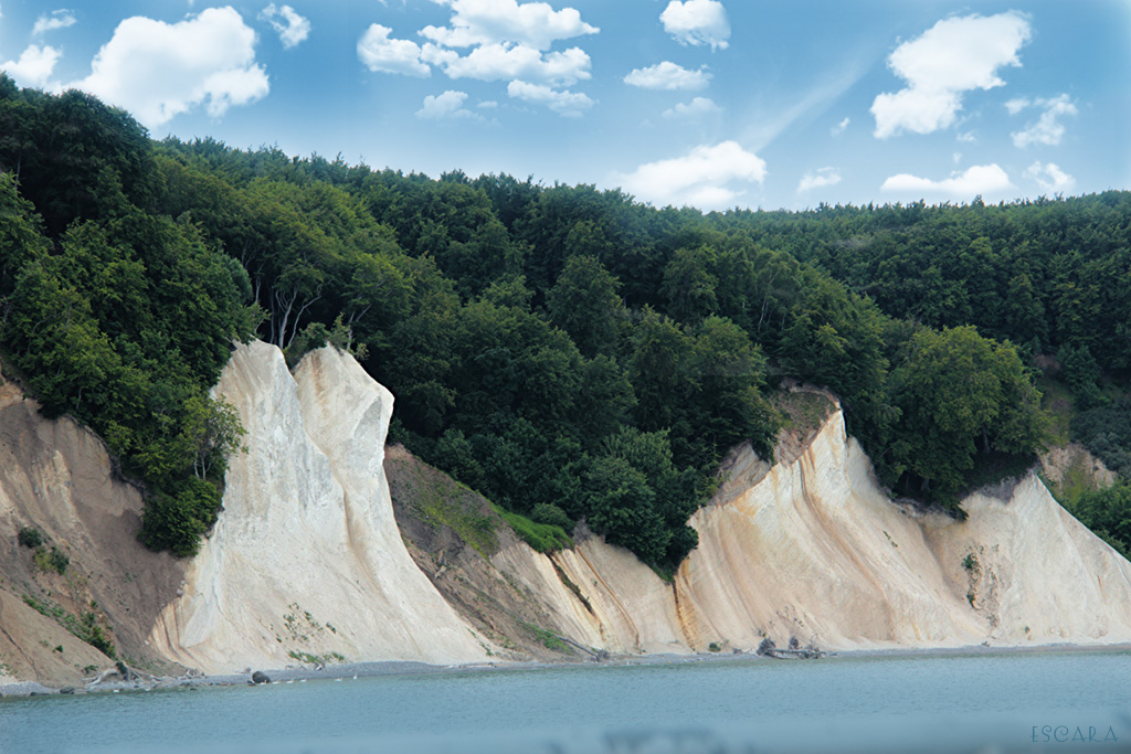 Rügen - Kreidefelsen I