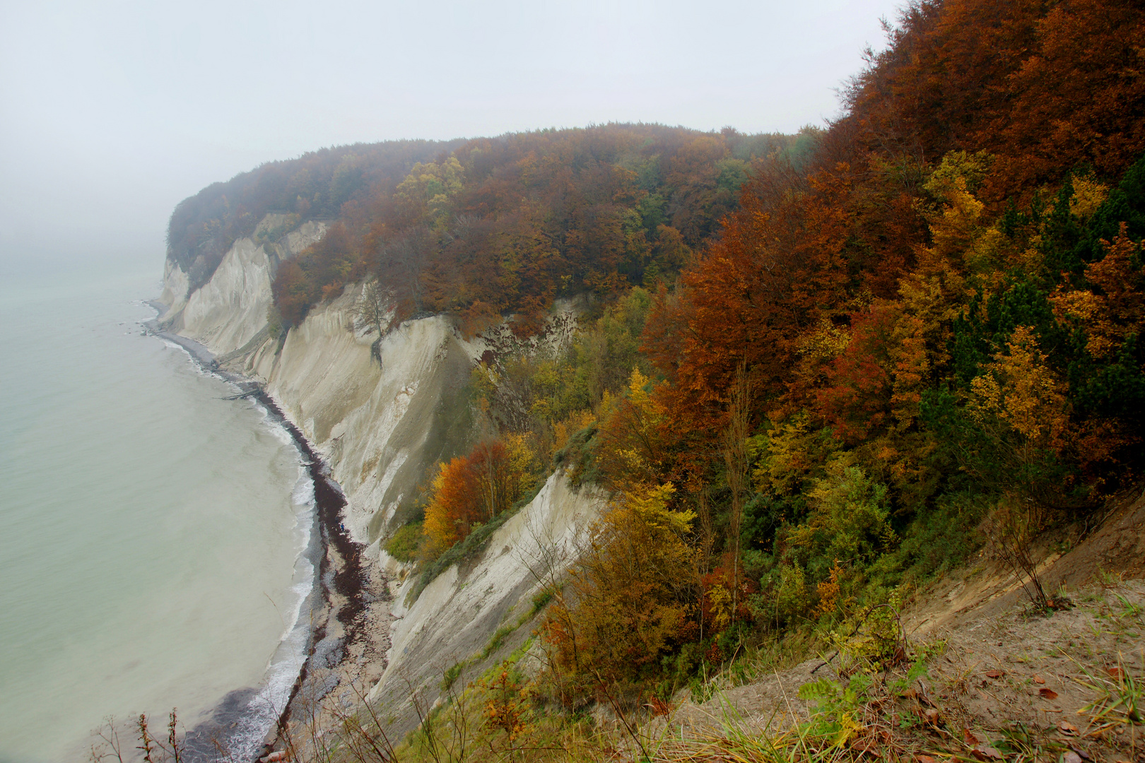 Rügen- Kreidefelsen im Nebel