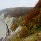 Rügen- Kreidefelsen im Nebel