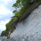 Rügen Kreideküste am Königsstuhl