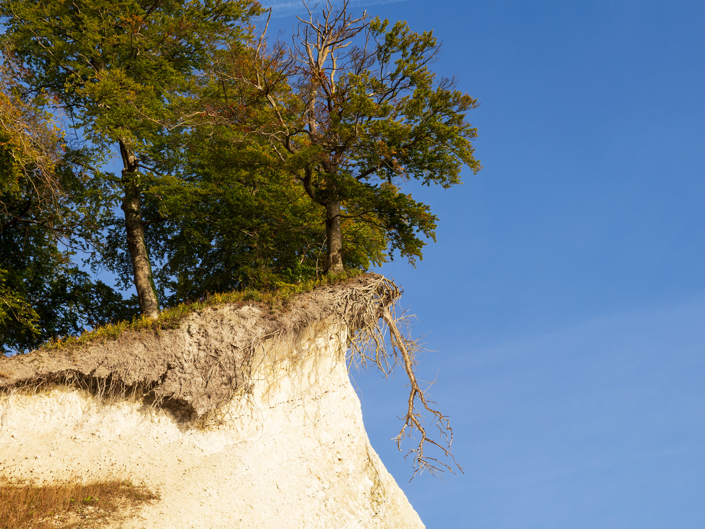 Rügen, Kreideküste