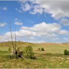 Rügen, Landschaft