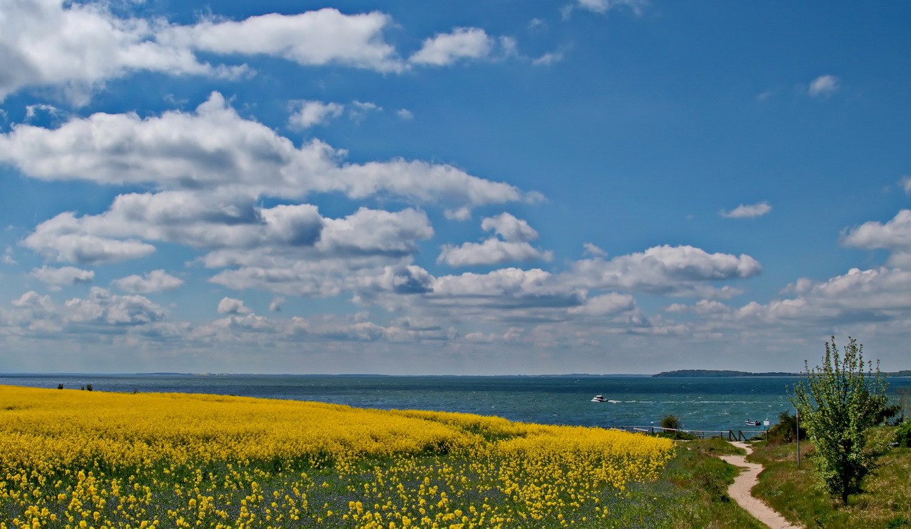 Rügen Landschaft