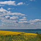 Rügen Landschaft