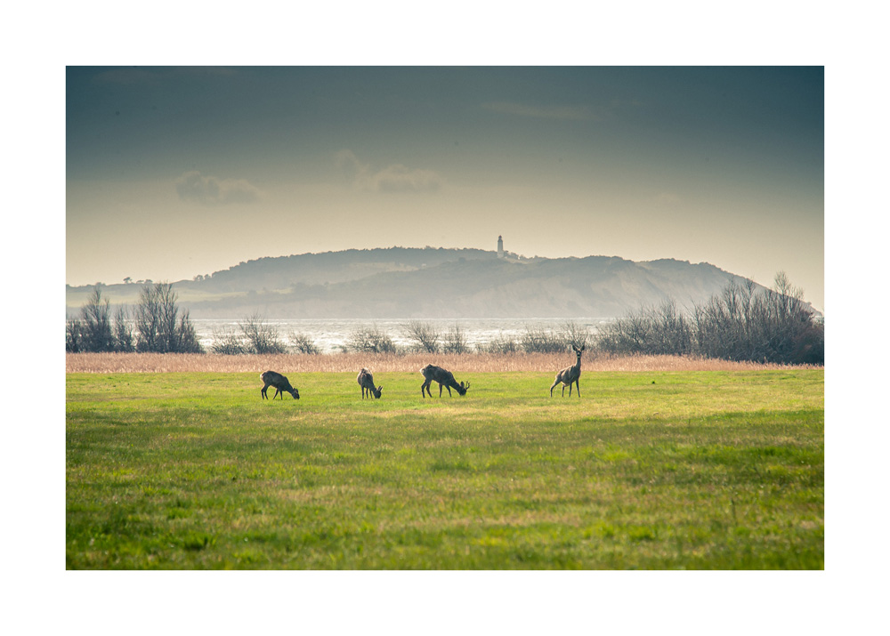 [ Rügen, Licht und Schatten ] / [ Licht ]