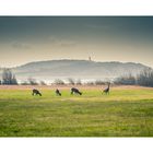 [ Rügen, Licht und Schatten ] / [ Licht ]