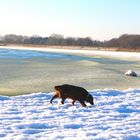 Rügen - Meer wie Gelee