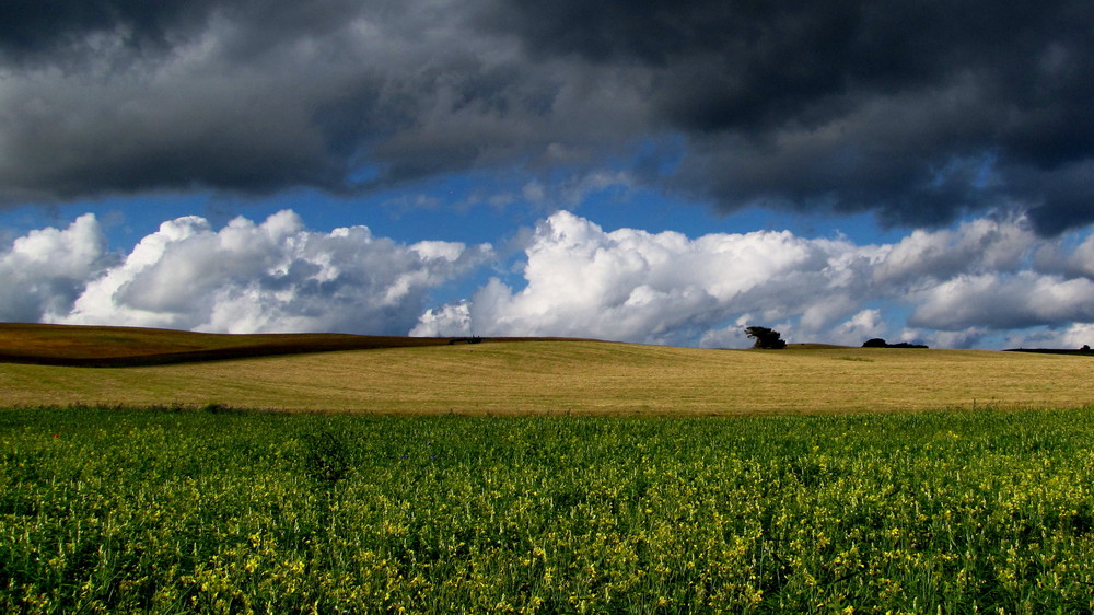 Rügen Mönchgut