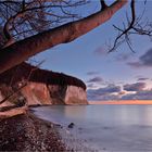 Rügen - Morgens an der Kreideküste