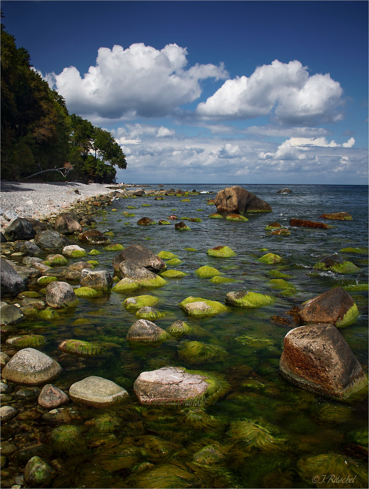 Rügen - Nationalpark Jasmund