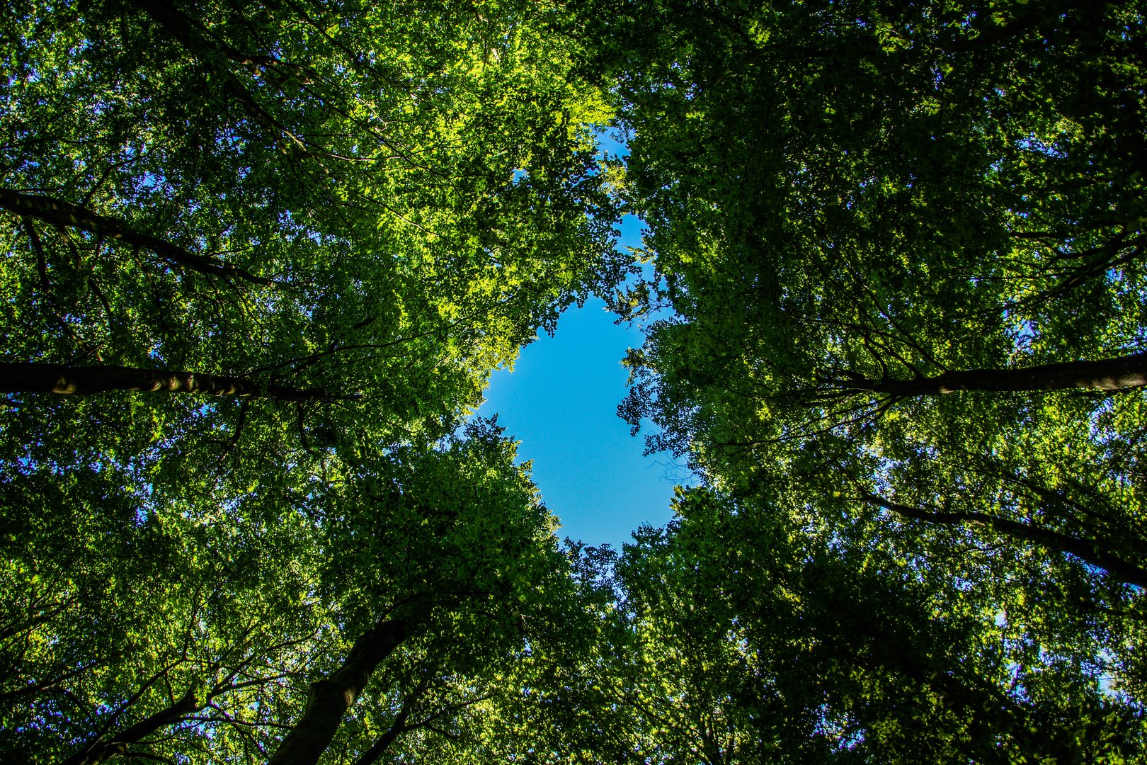 Rügen Nationalpark Jasmund