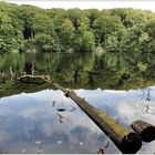 Rügen, Nationalpark Jasmund, Herthasee