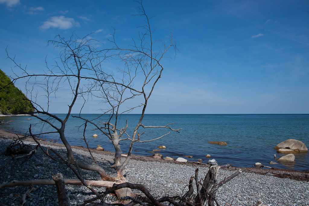 Rügen, Nationalpark Jasmund I