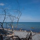 Rügen, Nationalpark Jasmund I