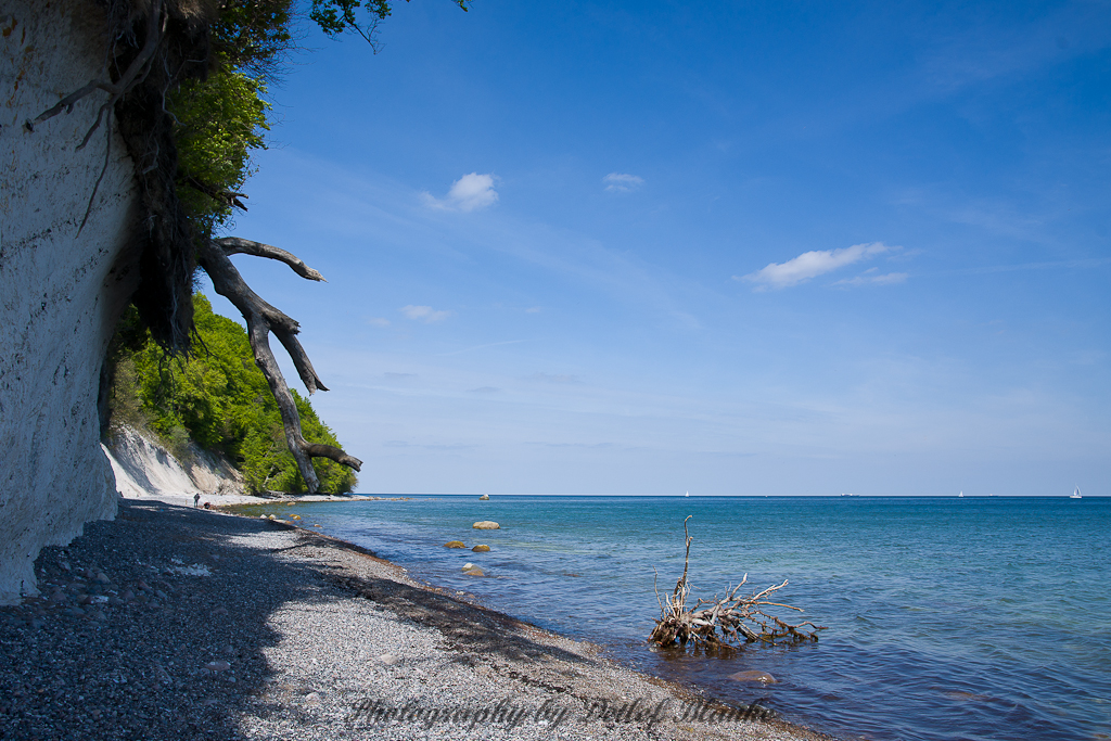 Rügen, Nationalpark Jasmund II