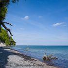 Rügen, Nationalpark Jasmund II