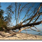 Rügen Natur pur