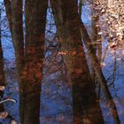 Rügen - Naturpark Jasmund