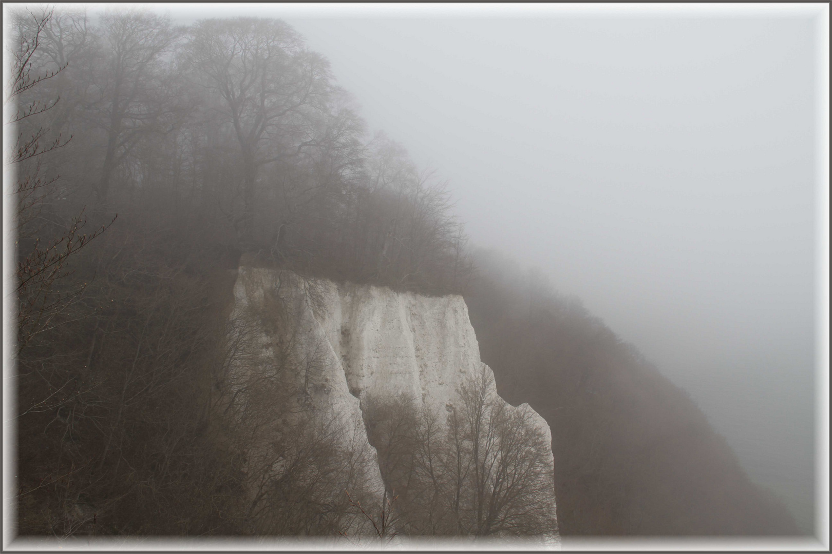 Rügen ... Nebel über dem Kreidefelsen