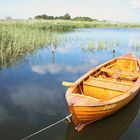 Rügen - Netzboot an der Schoritzer Wiek