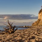 Rügen Nordwestküste im Abendlicht