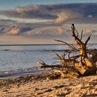 Rügen Nordwestküste im Abendlicht