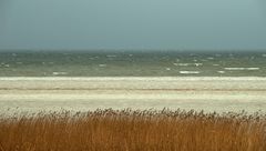 Rügen (Ostsee)