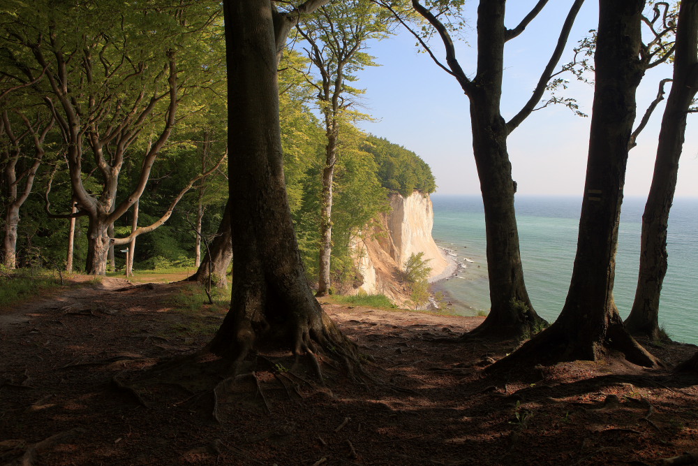 Rügen ROMANTIK - National Geographic Siegerfoto